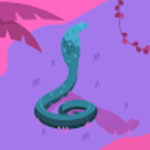 Meet your Posher, Corey